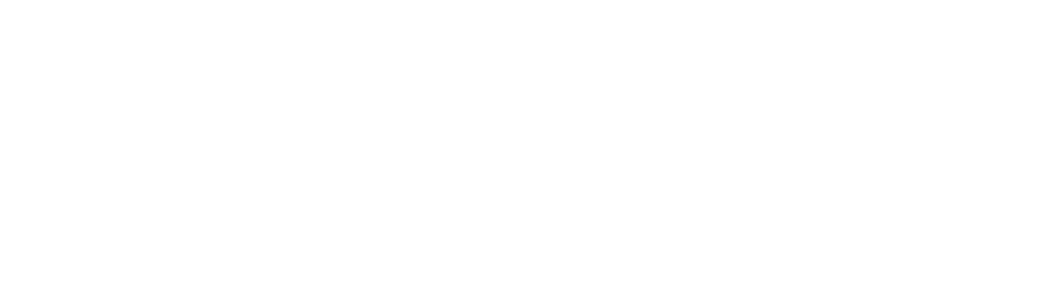 RevStage AI